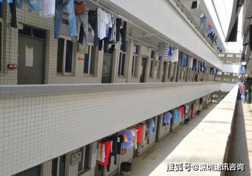 驗廠對宿舍、食堂與醫療的要求全解析 掌握標準，輕松通過住宿服務審核